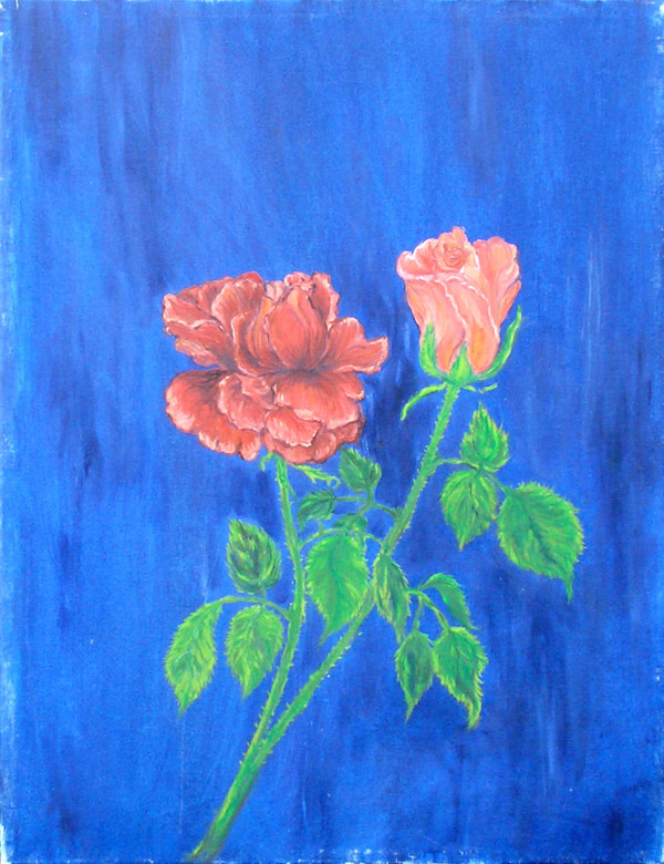 bild29